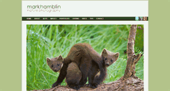 Desktop Screenshot of markhamblin.com